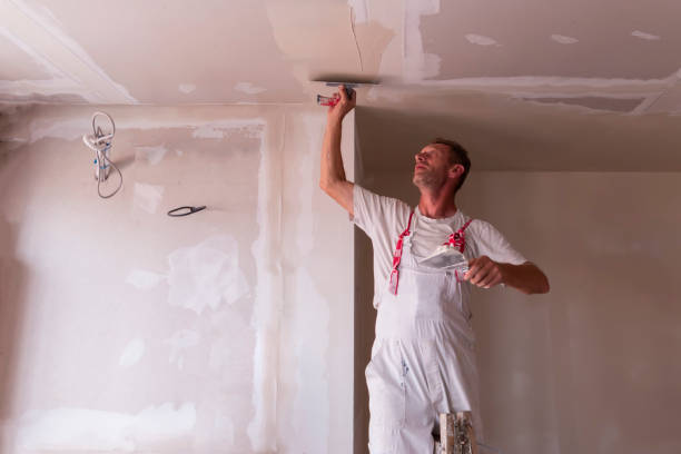 Best Ceiling Drywall Installation  in Mulvane, KS